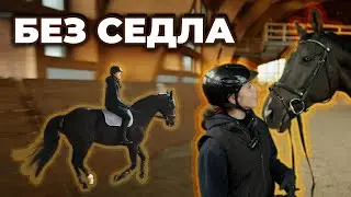 Езда без седла шагом, на рыси и галопом. Баланс