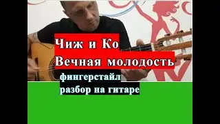 Вечная Молодость.Чиж И Ко.Фингерстайл.Разбор 