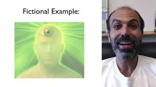 Mitosis, Meiosis, and Ploidy (S) - Introduction to Genetics and Evolution