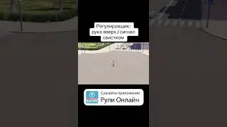 Регулировщик: рука вверх/ сигнал свистком