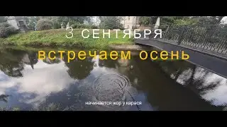 #мормышинг | 3 сентября | Жор карася на вату |