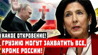 Какое откровение! Грузию могут захватить все, кроме России!