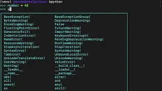 Starting With Pythons assert Statement