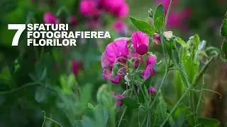 7 Sfaturi despre cum sa fotografiezi flori si plante in natura