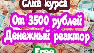 От 3500 рублей в день. Слив курса. Денежный реактор