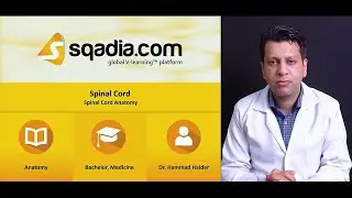 Spinal Cord - Spinal Cord Anatomy