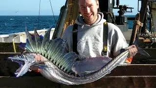 САМЫЕ СТРАННЫЕ ВИДЫ РЫБ НА НАШЕЙ ПЛАНЕТЕ!!!