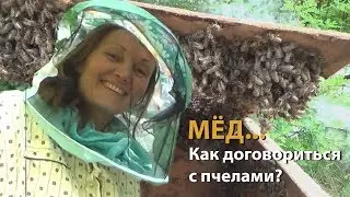 Как получают мед?  Как это делаем мы?