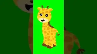 Green Screen Giraffe I No Copyright I Free Downoad I 