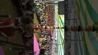 Adibasi Art and Skill ||Srimanta Mandi