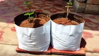 VAYINATO Poly Grow Bags |Grow Bags for Terrace Gardening 24cm*24cm*40cm(Pack of 5)Grow Bag#TN72Rock