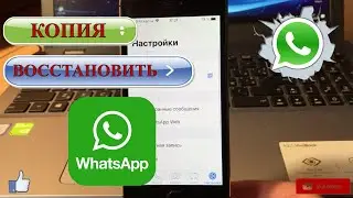 Как сделать резервную копию и восстановить WhatsApp на iPhone