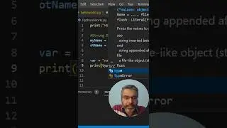 Type Method in Python 