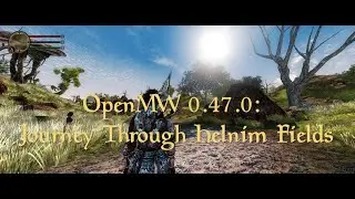 OpenMW 0.47.0: Journey Through Helnim Fields