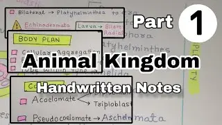 Animal kingdom NEET 2025 | Part - 1 | Handwritten Notes