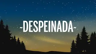 Ozuna x Camilo - Despeinada (Letra/Lyrics)