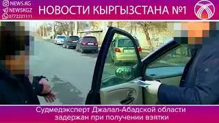 Судмедэксперт Джалал-Абадской области задержан при получении взятки