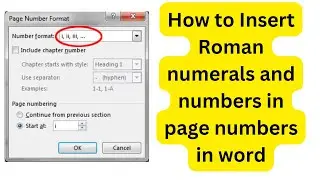 How to Insert Roman Numerals and Numbers in Page Numbers in Word