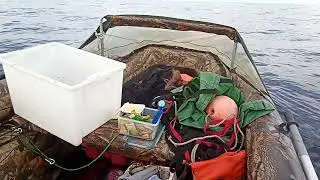 Морские рыбалки и морские экспедиции Сергея Соколова , г. Мурманск