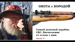 ОХОТА с БОРОДОЙ. Самый дешевый карабин. Впечатления от сезона охоты с СКС. Часть7.