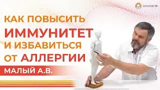 Как ПОВЫСИТЬ ИММУНИТЕТ и избавиться от АЛЛЕРГИИ | Малый А.В.