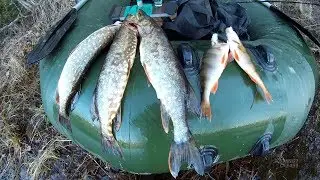 УДАЧНОЕ ОТКРЫТИЕ ЛЕТНЕГО СЕЗОНА РЫБАЛКИ 18+)