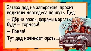 Дед на запорожце обогнал мужика на мерседесе! Анекдоты! Юмор!