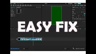 How To Fix CapCut Green Screen Error