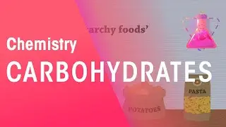 Carbohydrates | Organic Chemistry | Chemistry | FuseSchool