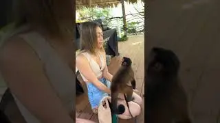 😂