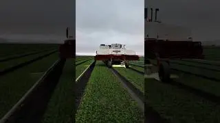 Избавляемся от гербицидов❌ 