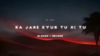 Na jane kyun tu hi tu (Slowed + Reverb) | Bikhra song | RT Lofi