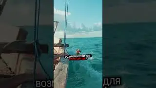 Онлайн-турагент: свобода и доход без потолка 