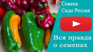 Семена от  НПО