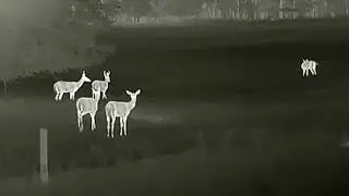 ZEISS  DTI Thermal Imaging Camera - Bringing Night To Life.