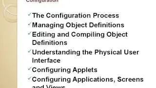 SIEBEL CRM Online Training