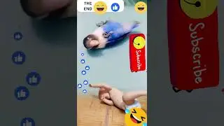 baby vs bird Funny dive  