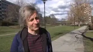 Stefan Sundström i SVT 