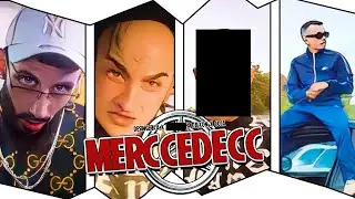 DESINGERICA BEZ PLJUGICE - MERCCEDECC