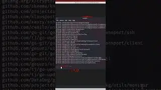 How to install nuclei in Kali Linux 