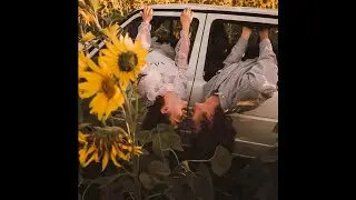 [free] indie / d4vd / bedroom pop type beat ~ 