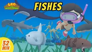 Fishes Minisode Compilation 🐟 Leo the Wildlife Ranger | Wildlife Show | Kids Cartoons