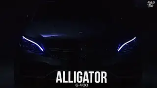 G-VOO - Alligator (2021)