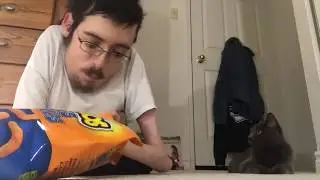 YOU WANT CHEESIES 🧀 - Ricky Berwick