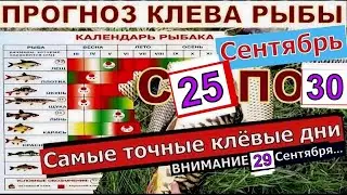 Прогноз клева рыбы на неделю с 25 по 30 Сентября Календарь клева рыбы Лунный календарь рыбака