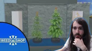 Creating the Next Generation of Weed | Weed Shop 3