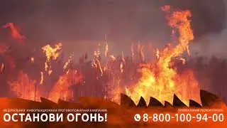 Останови огонь