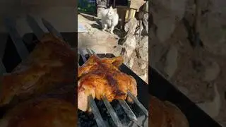 Сочная корочка целиком на шампурах