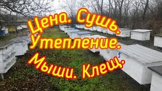 ЦЕНА. СУШЬ. УТЕПЛЕНИЕ. КЛЕЩ. МЫШИ. ДОСУГ.