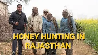 Honey Hunting in Rajasthan with Native Tribal people  || white Honey collecting || Tamil